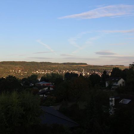 Dreilaenderblick Apartman Lörrach Kültér fotó