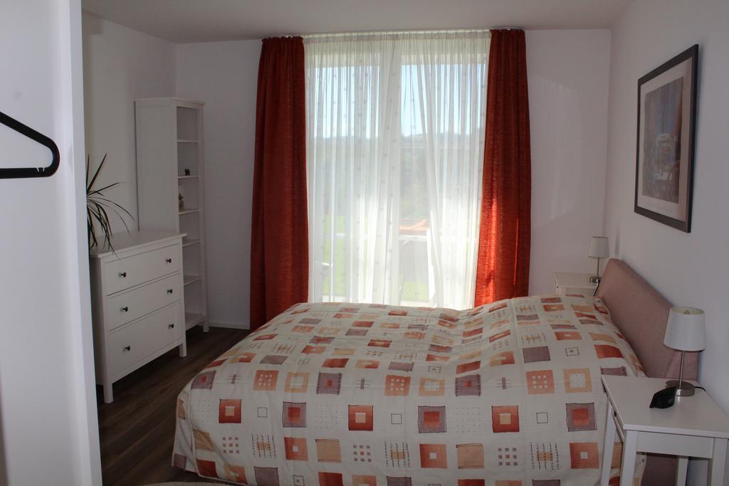 Dreilaenderblick Apartman Lörrach Kültér fotó