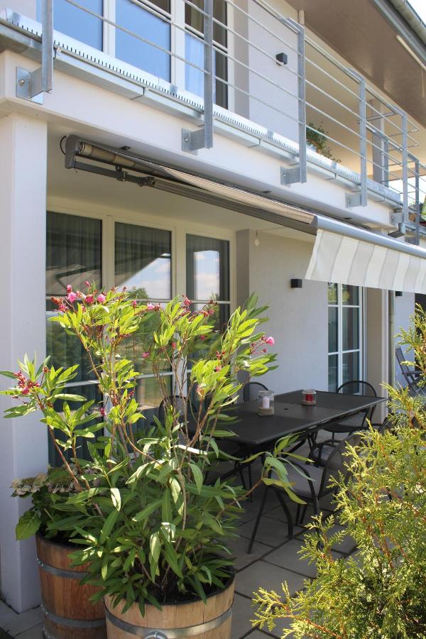 Dreilaenderblick Apartman Lörrach Kültér fotó